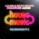 Las Bibas From Vizcaya & Cdamore & Altar - House Music