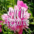 TrixOTB - Spring