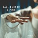 Raul Robado - Diploid