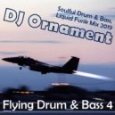 DJ Ornament - Flying Drum & Bass 4