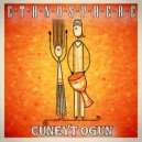 Cuneyt Ogun - Ethnosphere
