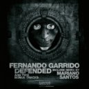 Fernando Garrido - Elusive Mistake