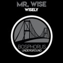 Mr. Wise - Party Or Politics