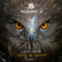 Sasha Sound - Wall Of Sound