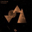 Carlo Daudt - This Feeling