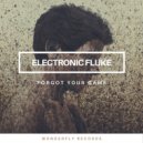 Electronic Fluke - Forgot your name