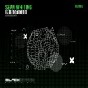Sean Whiting - Mindfield