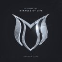 Peter Miethig - Miracle Of Life