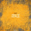 Coot - Space