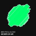 BREVTHE & Slokix - Secrets Of Life