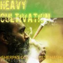 Heavy Cultivation - Himalayan Tea