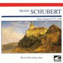 Heino Schwarting - Piano Sonata No. 4 In A Minor, D. 537: III. Allegro Vivace