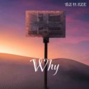 BZ HAZE - Why
