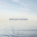 Variation Point - Endless Oceans