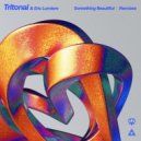 Tritonal & Eric Lumiere - Something Beautiful