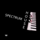 DJ Non Rex - Spectrum House (vol.4)