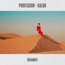 Professor (RO) - Kaloo