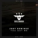 Joey Domingo - You Got Me