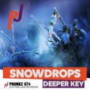 Deeper Key - Snowdrops