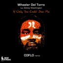 Wheeler del Torro feat. Sidney Washington - If Only You Could See Me