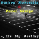 Dmitry Meretskiy & Pavel Shulga - Its My Destiny