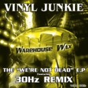 Vinyl Junkie - We're Not Dead