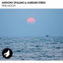 Anthony Spallino & Aurelien Stireg - Pink Moon