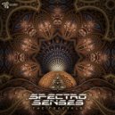 Spectro Senses - The Fractals