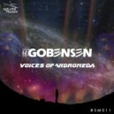 Theo Gobensen - Voices of Andromeda