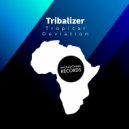 Tribalizer - Tropical Déviation