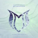 Alexander Komarov - Metamorphose