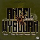 Angel Wyboorn - Fractals