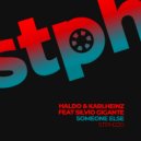 Haldo & Karlheinz feat Silvio Gigante - Someone Else