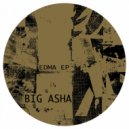 Big Asha - Protecting An Idea