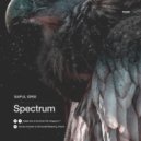 Saiful Idris - Spectrum