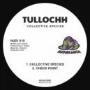 Tullochh - Check Point