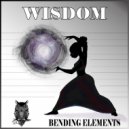 Wisdom - Soaring Owls