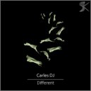 Carles DJ - Different World