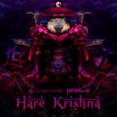 Henrique Camacho, Hyperflow - Hare Krishna