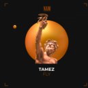 Tamez - Fly