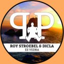 Roy Stroebel, DICLA - Es Vedra