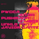 PWCCA - Consciousness In Process