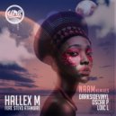 Hallex M, Stevo Atambire - Naam Remixes