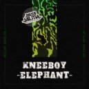 Kneeboy - Elephant