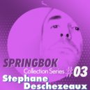 Stephane Deschezeaux - The Right Stuff
