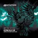 Goncalo M - Operation Windstorm