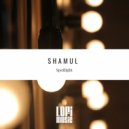 Shamul Feat. Vy - Grey Matters Of The Sky