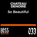 Chateau Denoire - So Beautiful