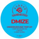 DMIZE - Want Ya Soul