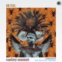 Dr Feel - Vaudzeyi Vanamate